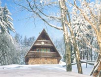 Enchanted hut in the snow
